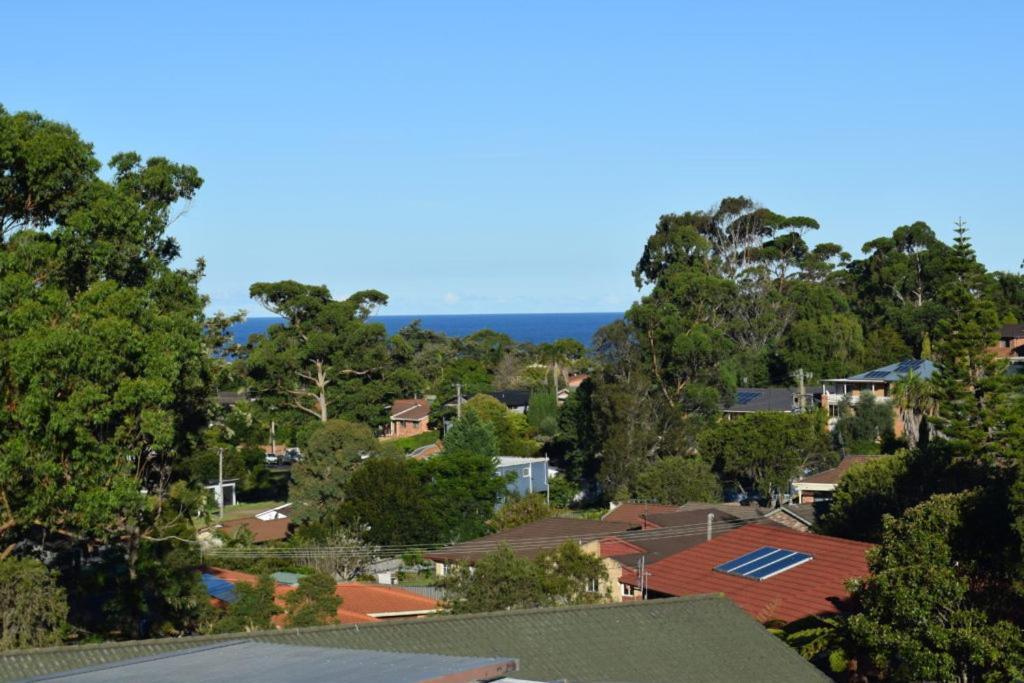 Mollymook Caravan Park المظهر الخارجي الصورة