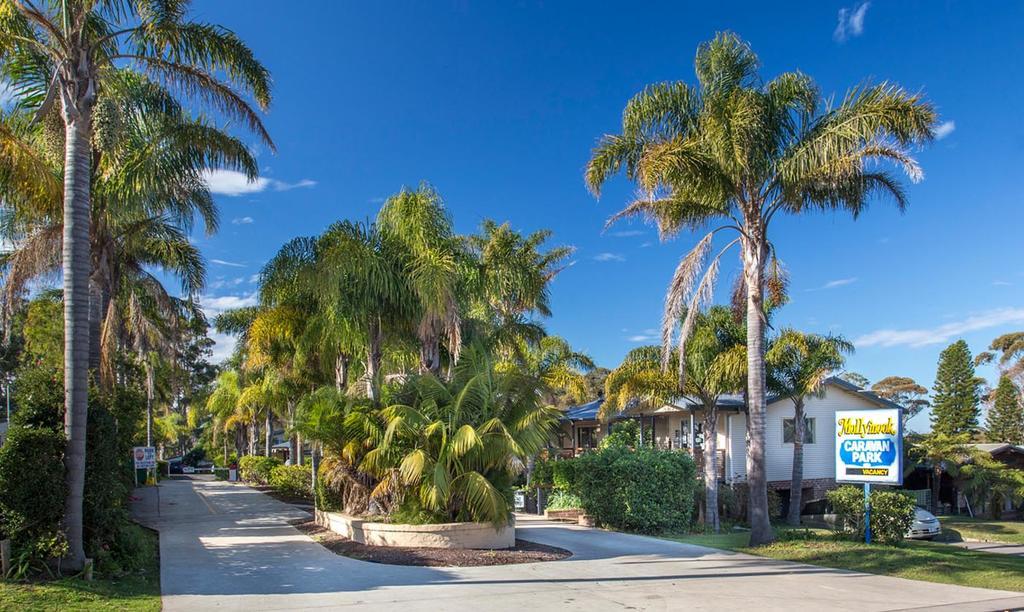 Mollymook Caravan Park المظهر الخارجي الصورة